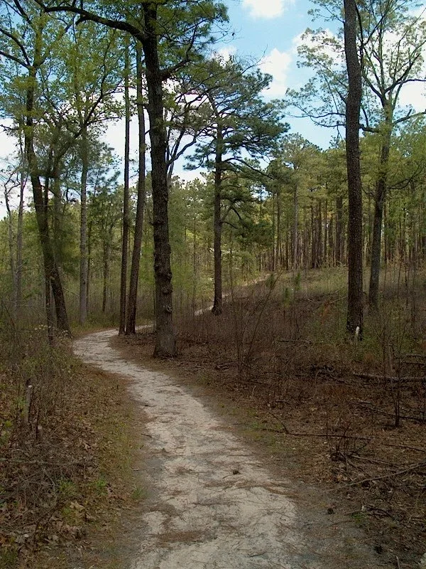 Weymouth Woods-Sandhills Nature Preserve