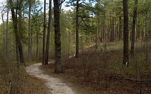Weymouth Woods-Sandhills Nature Preserve