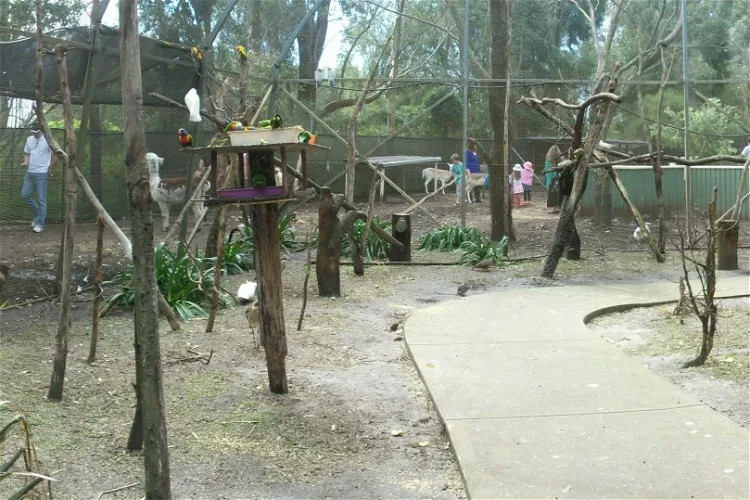 Ranger Red's Zoo & Conservation Park