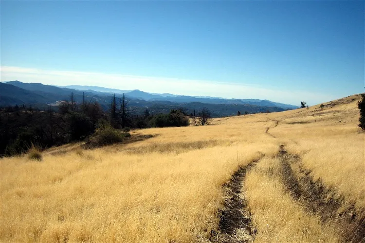 Cuyamaca Rancho State Park