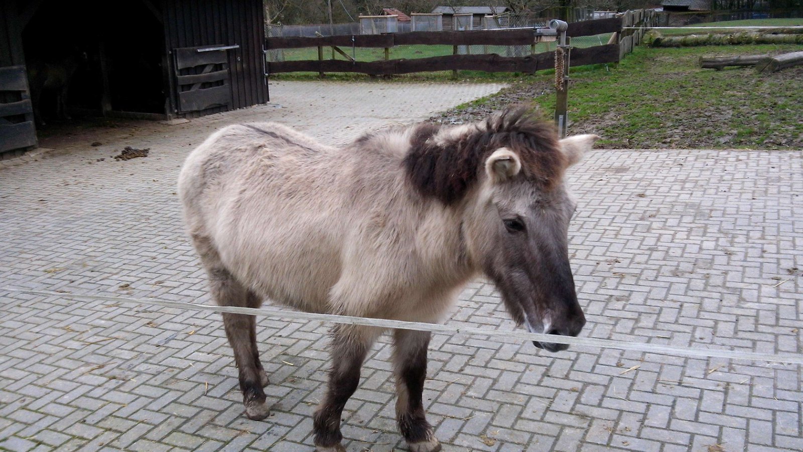 Heimat-Tierpark Olderdissen