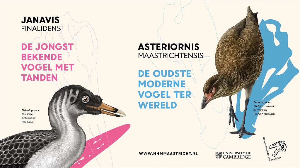 Expositie Wonderchicken & Co. Verborgen juweeltjes  i.s.m. de University of Cambridge
