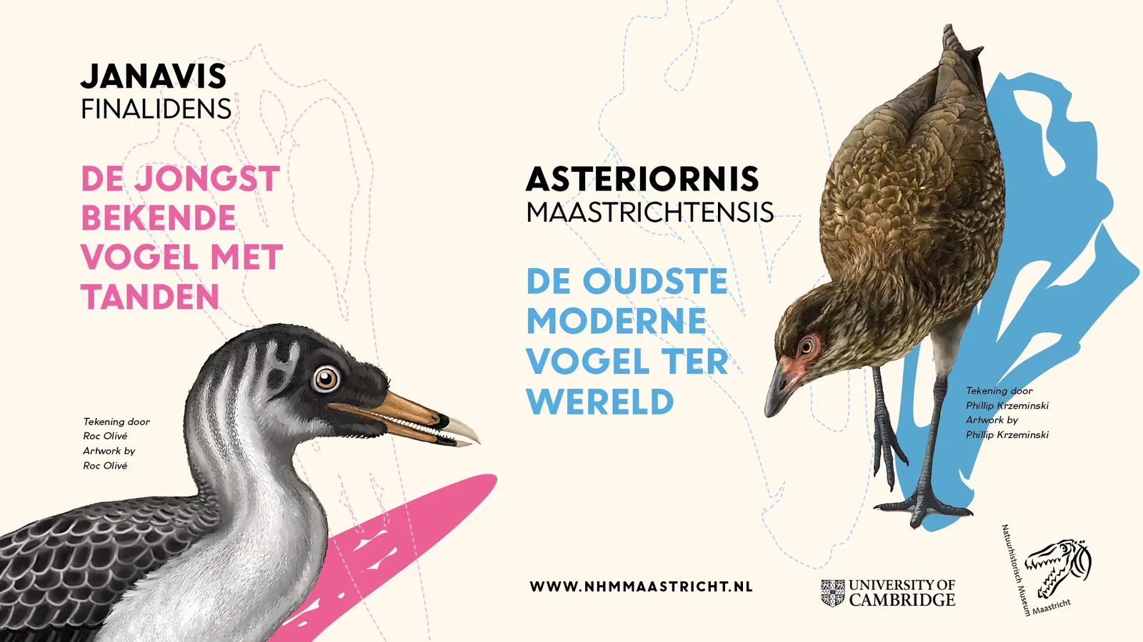 EXPOSITIE Wonderchicken & Co. Verborgen juweeltjes  i.s.m. de University of Cambridge