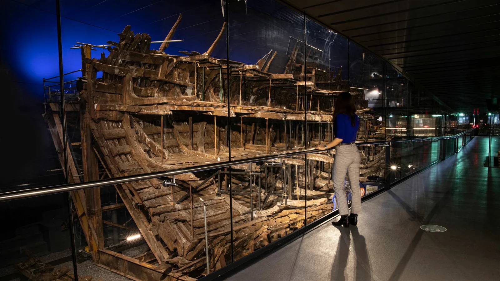 The Mary Rose