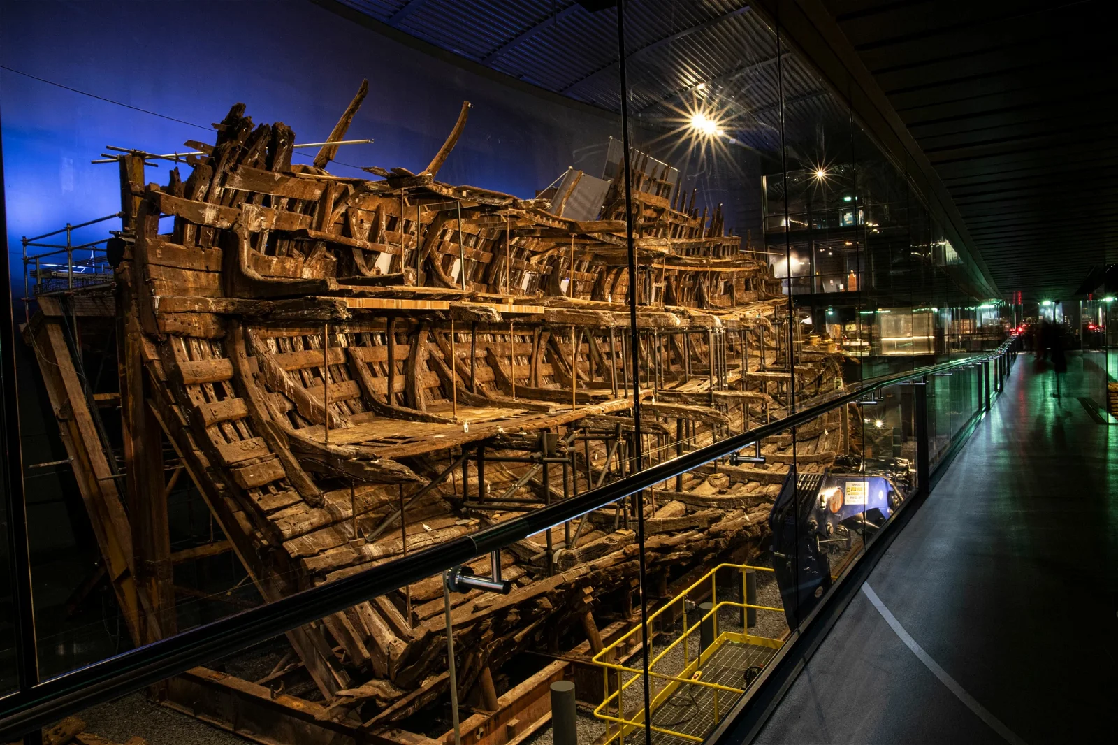The Mary Rose