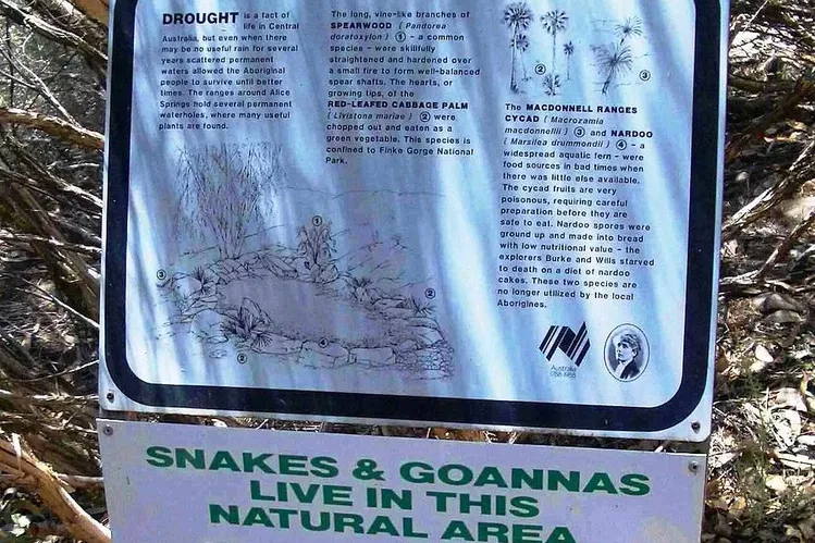 Jardín botánico Olive Pink