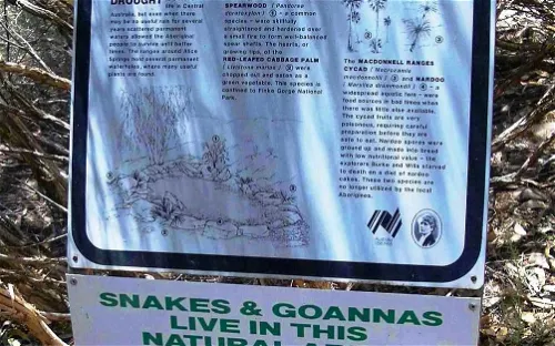 Olive Pink Botanic Garden