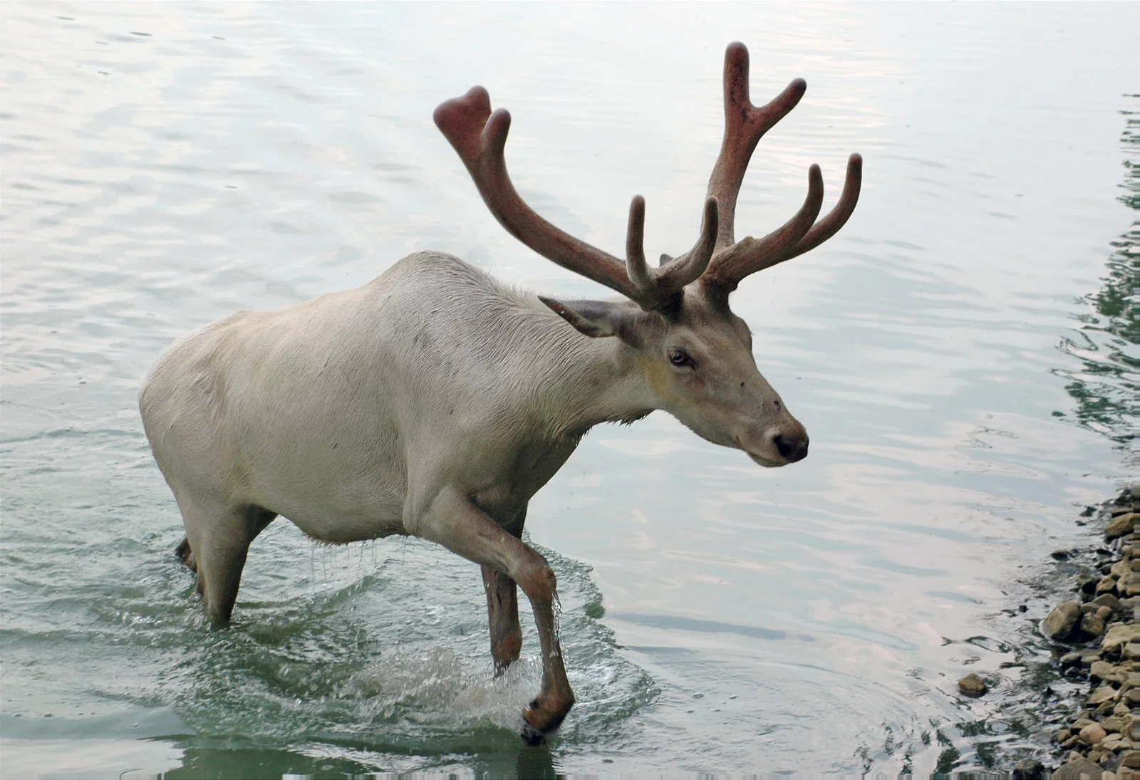 Snakes Downunder Reptile Park & Zoo
