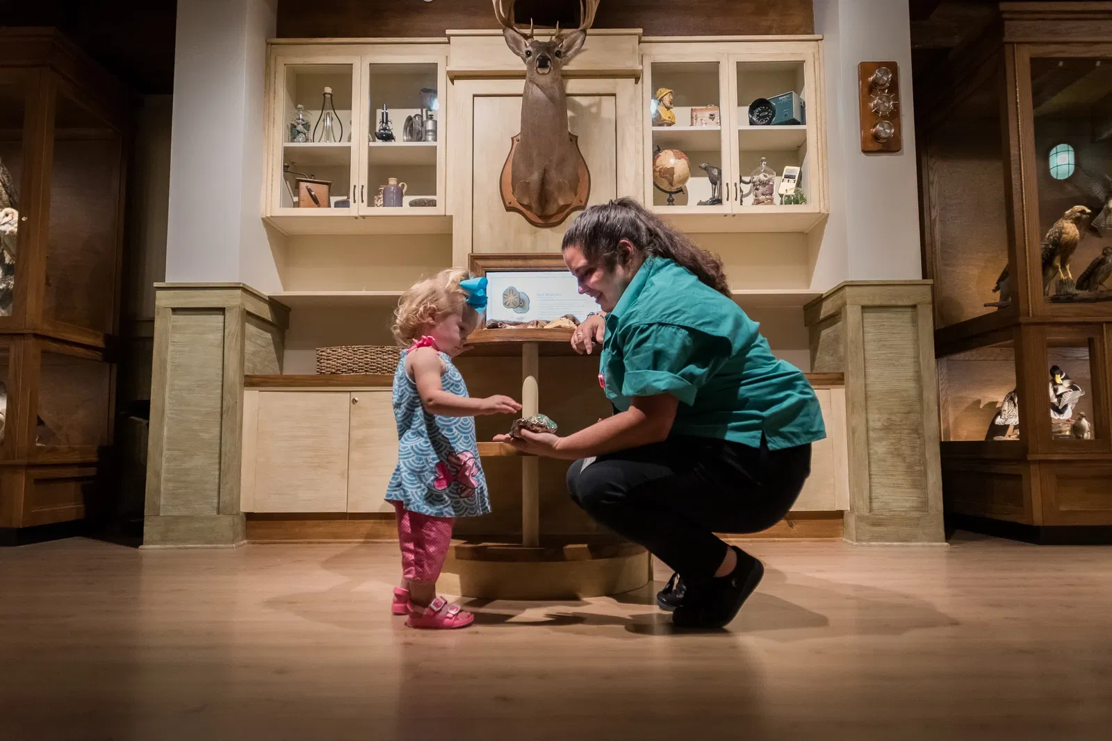 Cook Museum of Natural Science