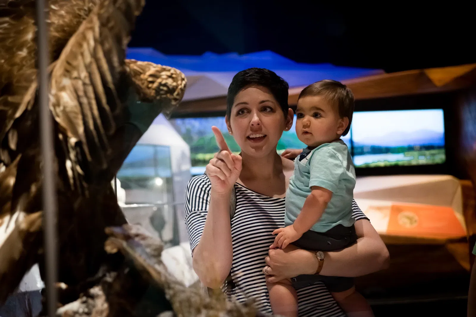 Cook Museum of Natural Science