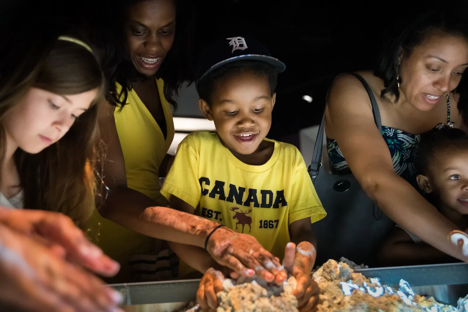 Cook Museum of Natural Science