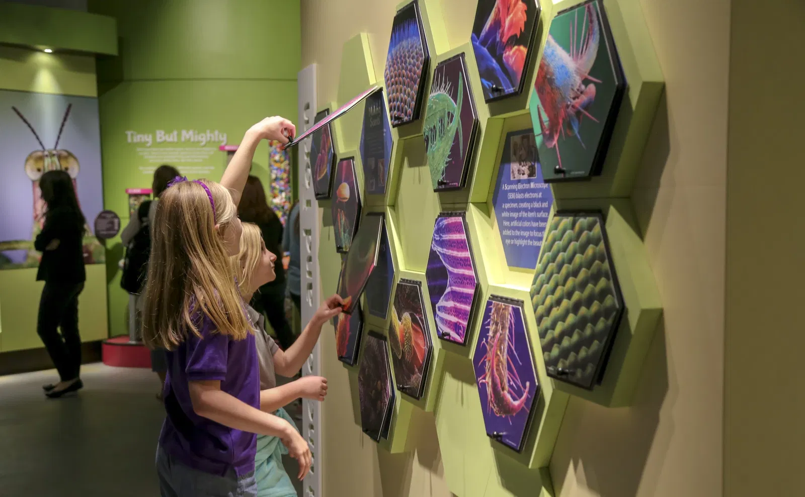 Cook Museum of Natural Science