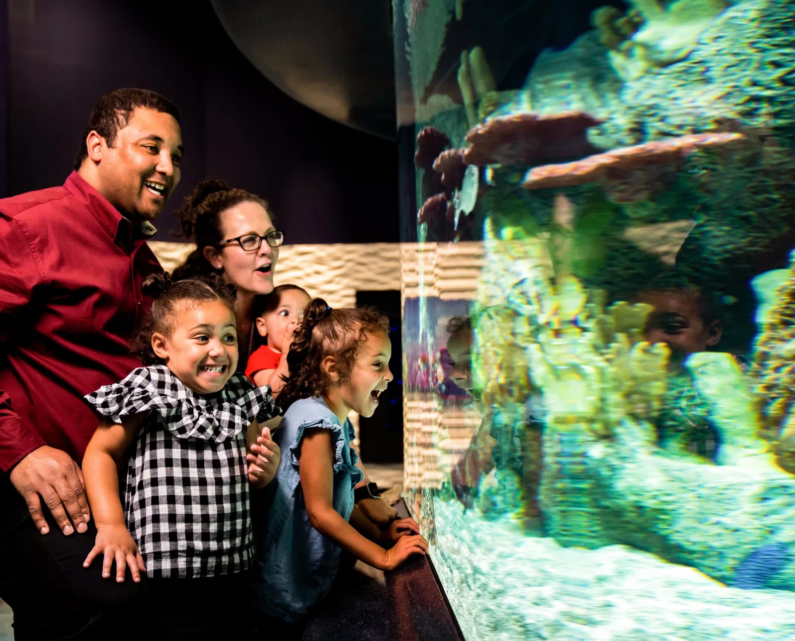 Cook Museum of Natural Science