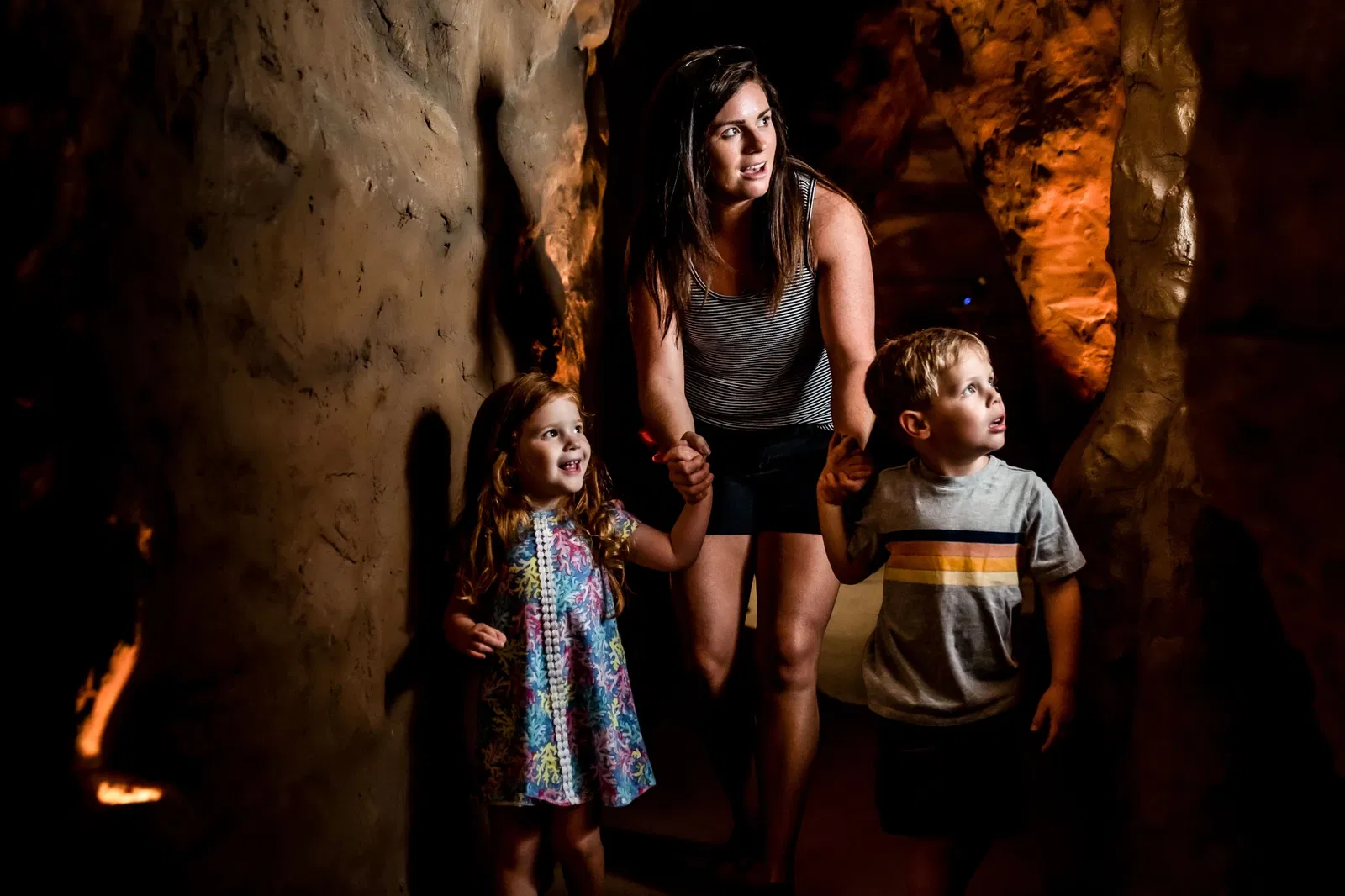 Cook Museum of Natural Science