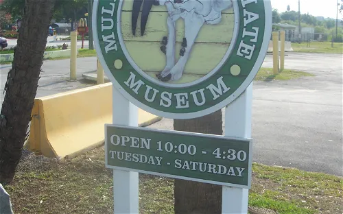 Mulberry Phosphate Museum