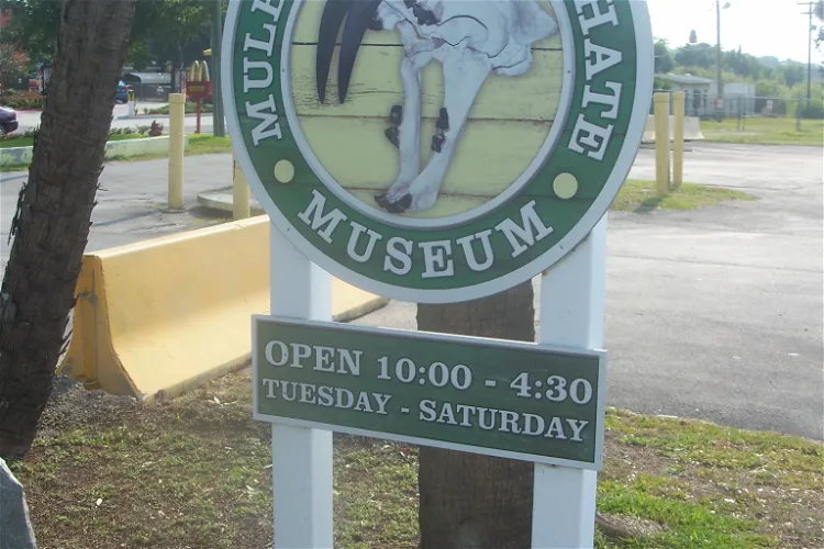 Mulberry Phosphate Museum