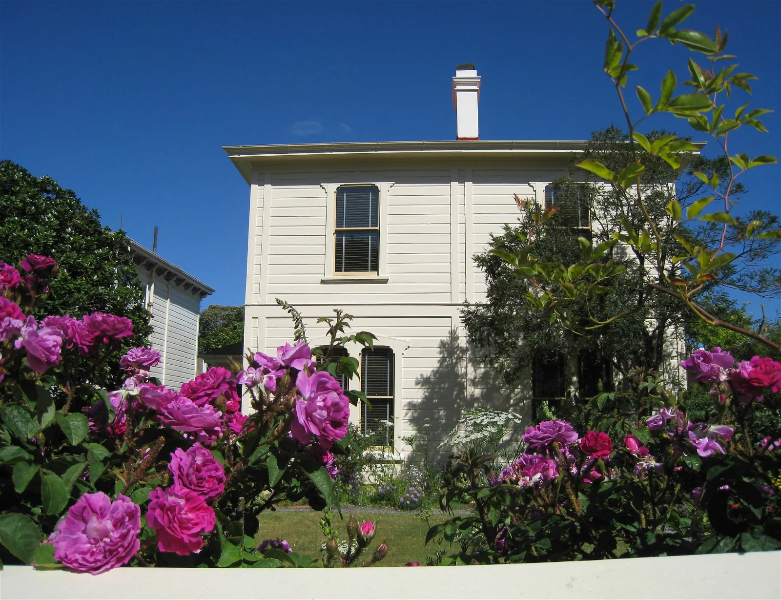 Katherine Mansfield House & Garden