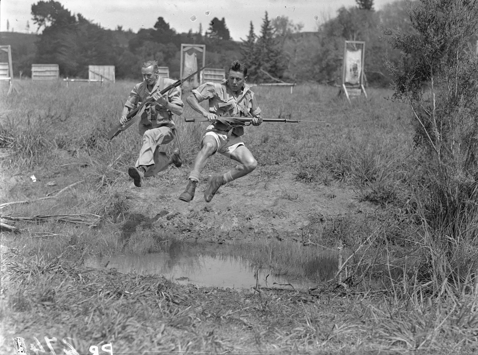 Swanson (Nouvelle-Zélande)