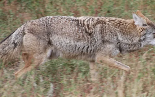 Wildlife West Nature Park