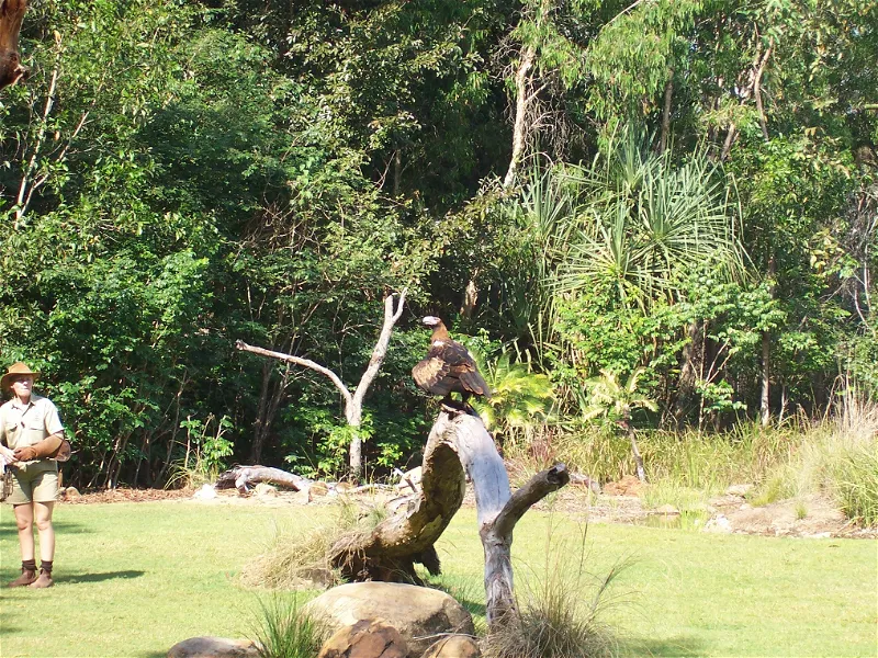 Territory Wildlife Park (Berry Springs) - Visitor Information & Reviews