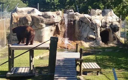 Alabama Gulf Coast Zoo