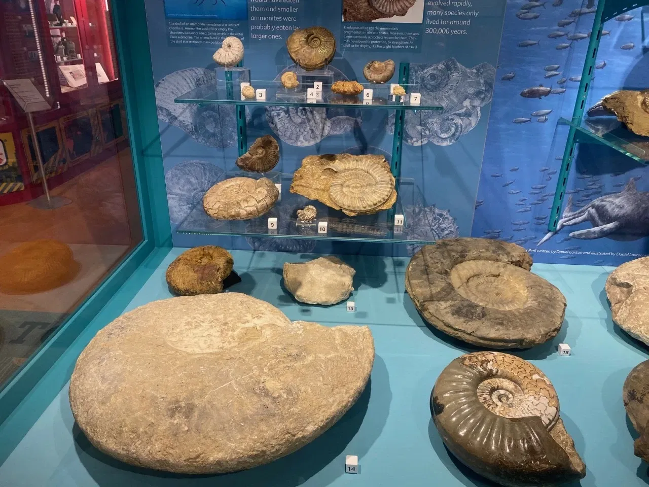 North Lincolnshire Museum