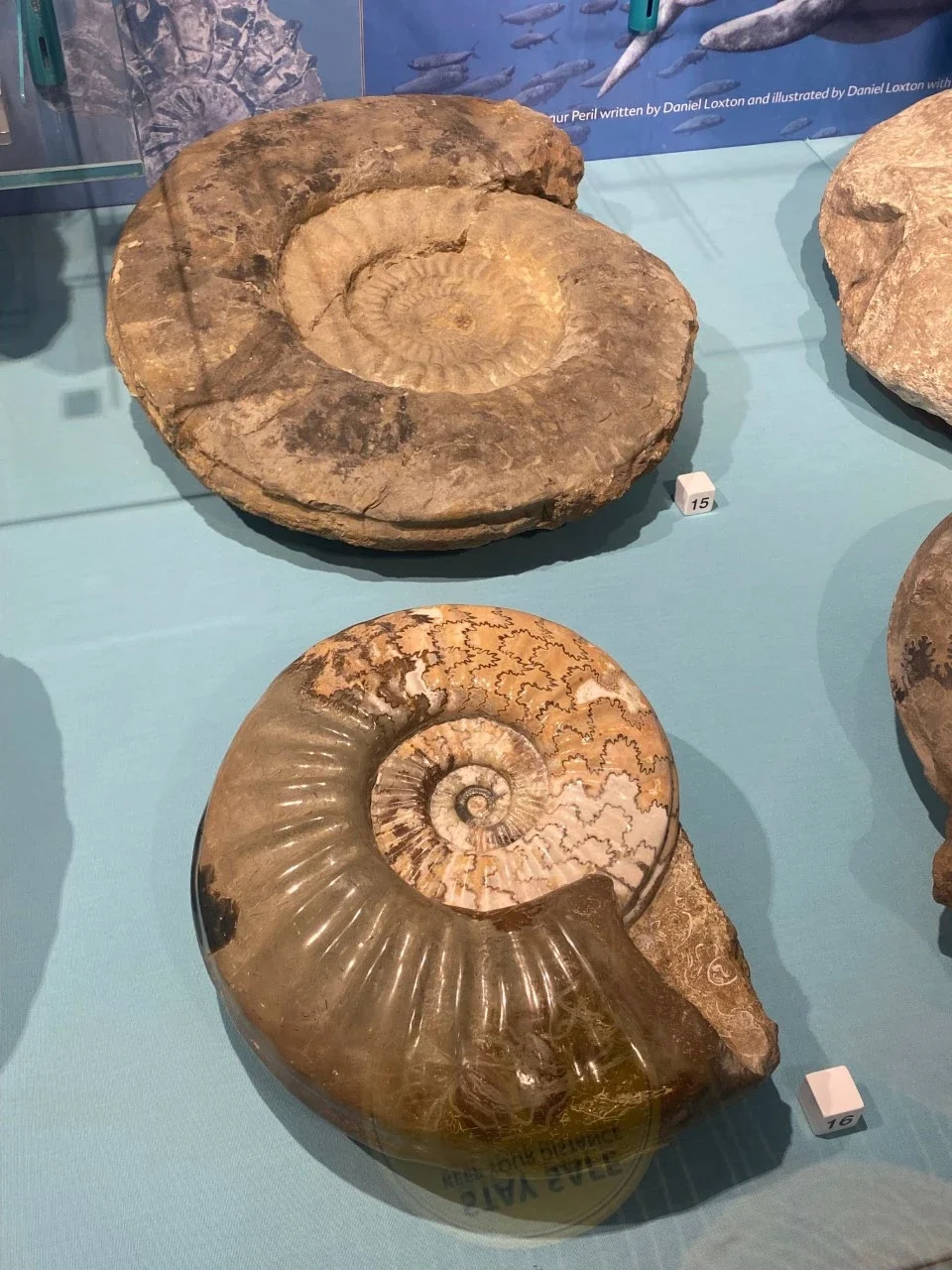 North Lincolnshire Museum