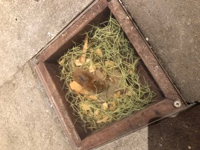 North Lincolnshire Museum