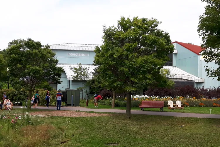 Insettario di Montréal