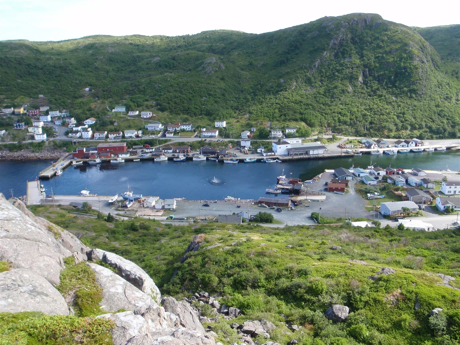 Petty Harbour Mini Aquarium