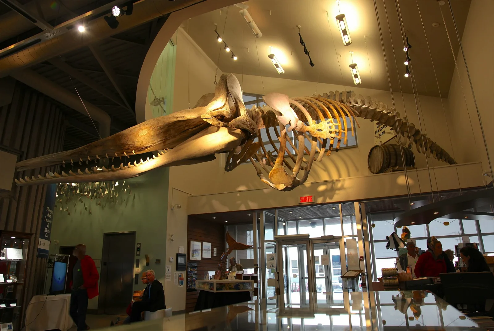 Musée de la Mer des Îles de la Madeleine