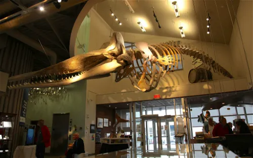 Musée de la Mer des Îles de la Madeleine
