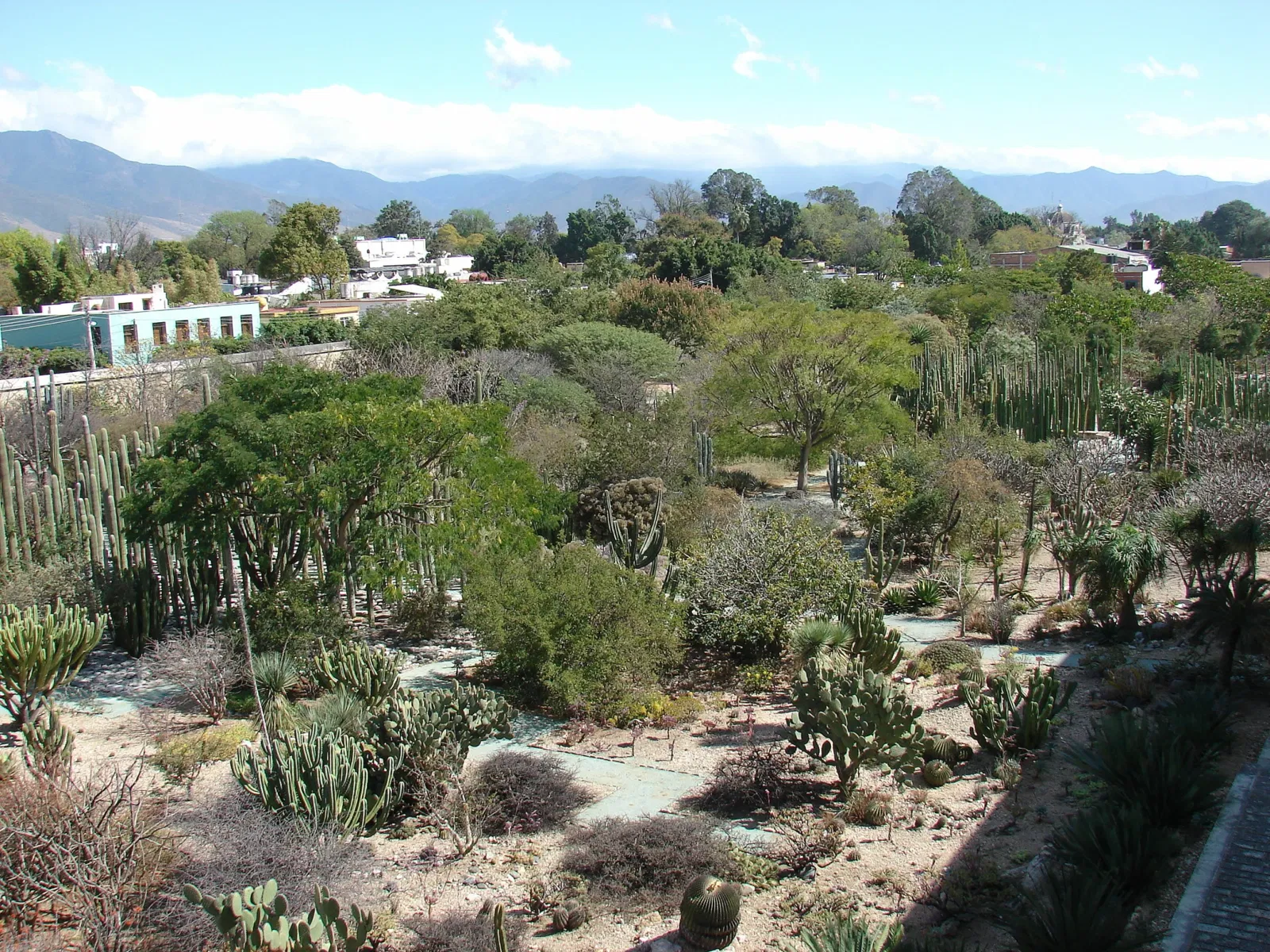 Jardín Etnobotánico de Oaxaca