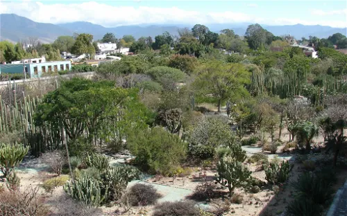 Jardín Etnobotánico de Oaxaca