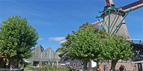 In de orde van de jutter