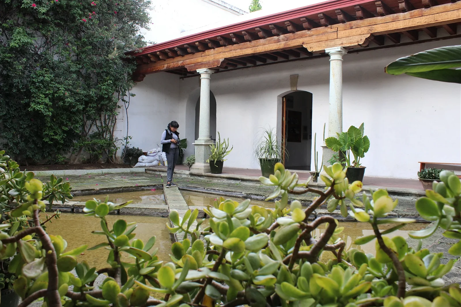 Alvarez Bravo Museum of Photography