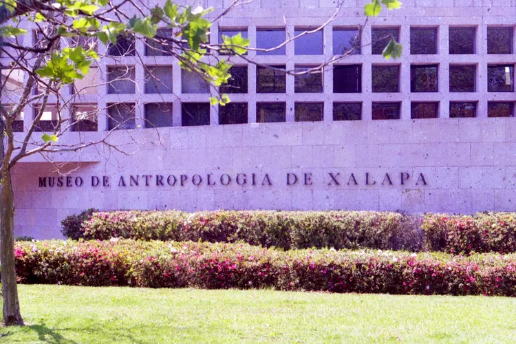 Antropologiemuseum van Xalapa