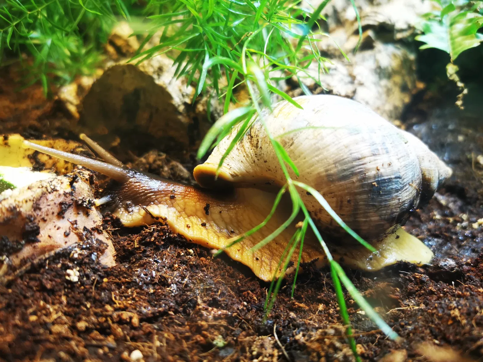 Museum of New Experiences