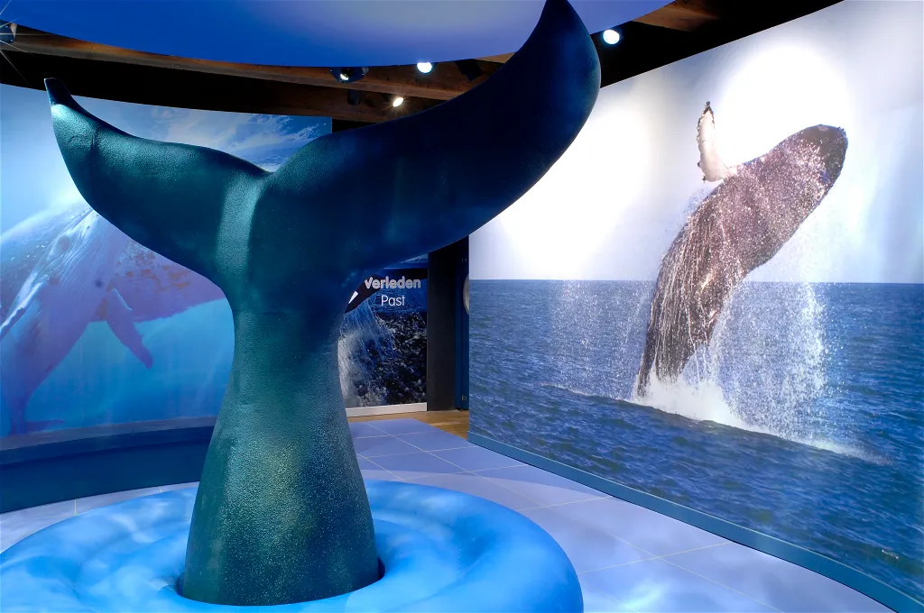 The tale of the whale