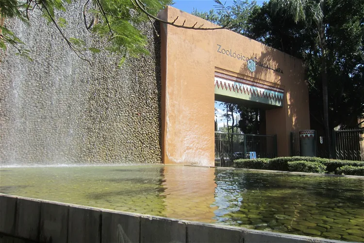 Zoológico Guadalajara