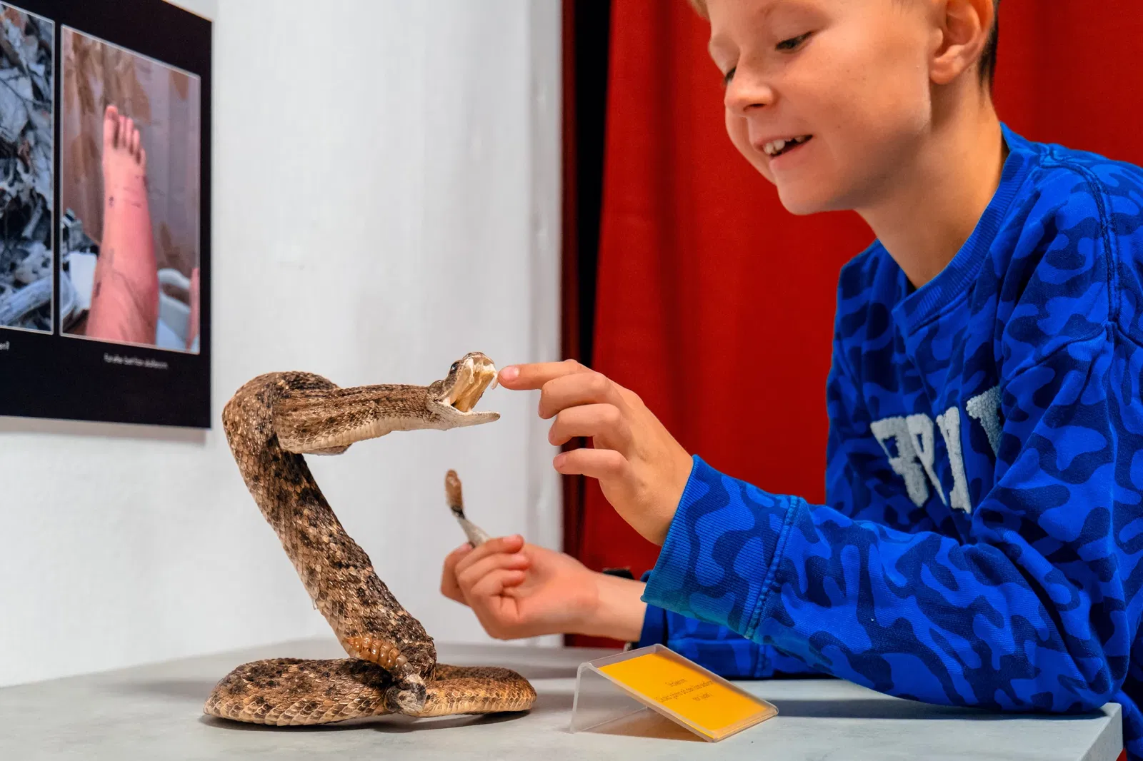 Museum of New Experiences