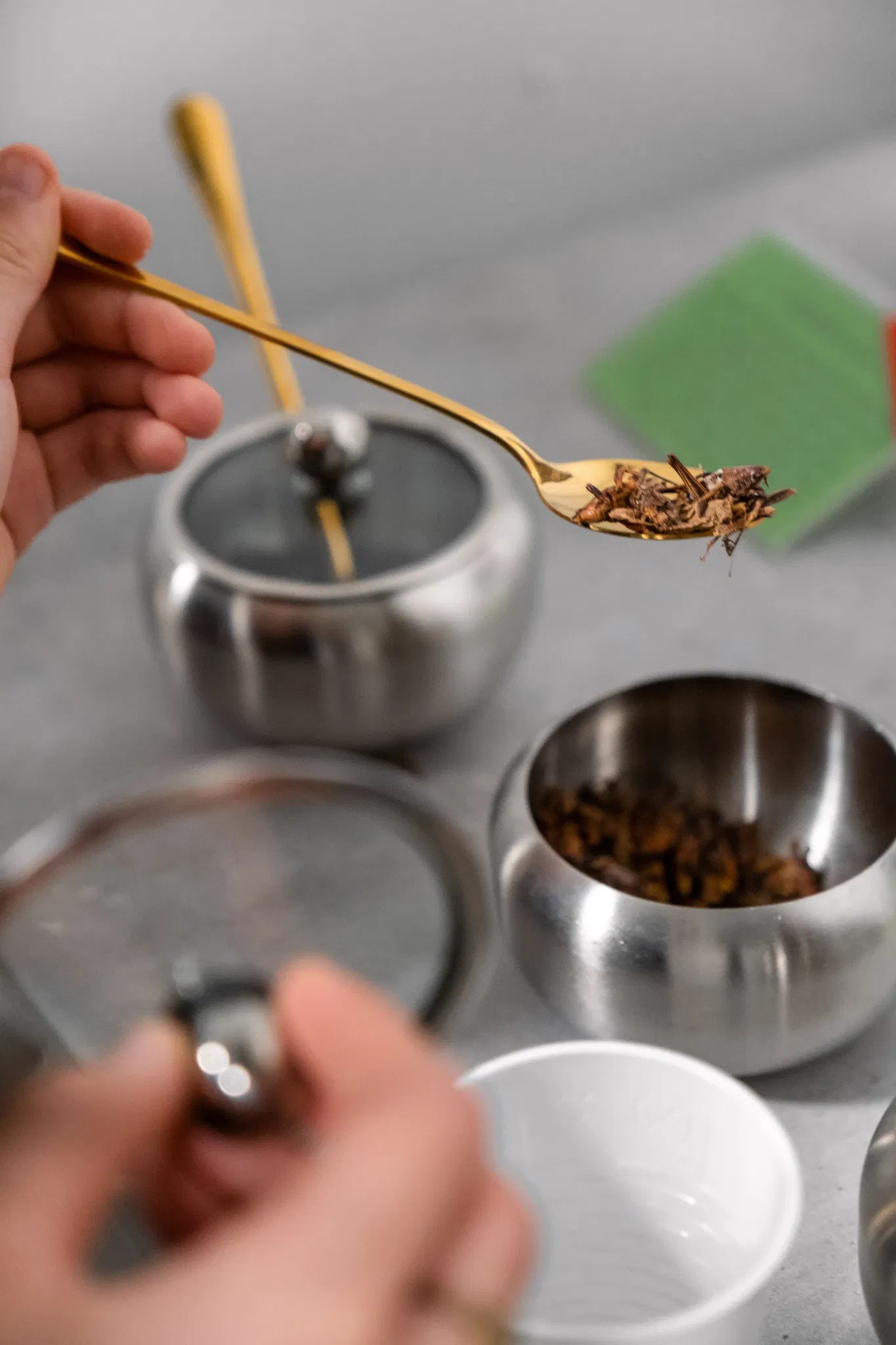 Museum of New Experiences