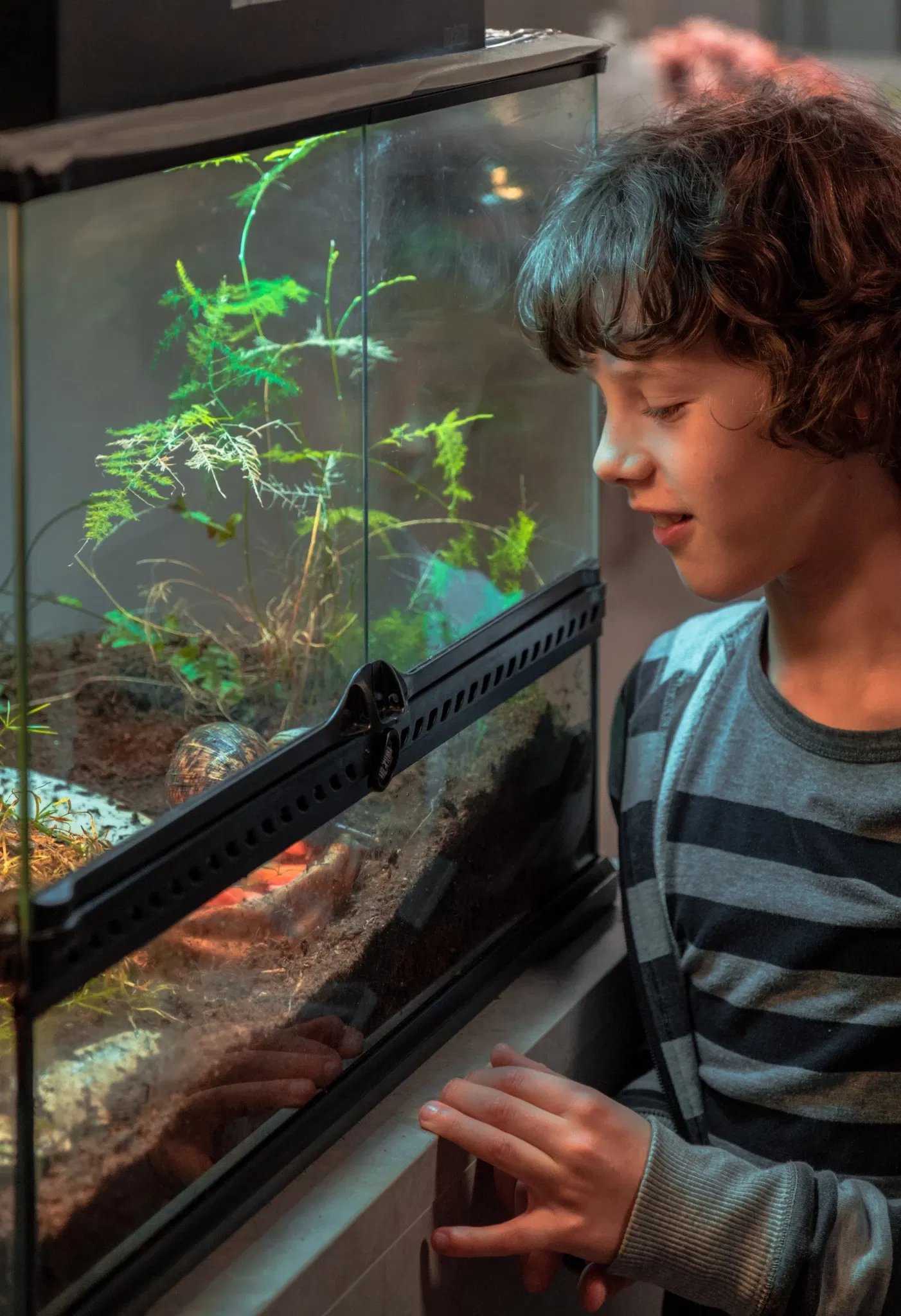 Museum of New Experiences