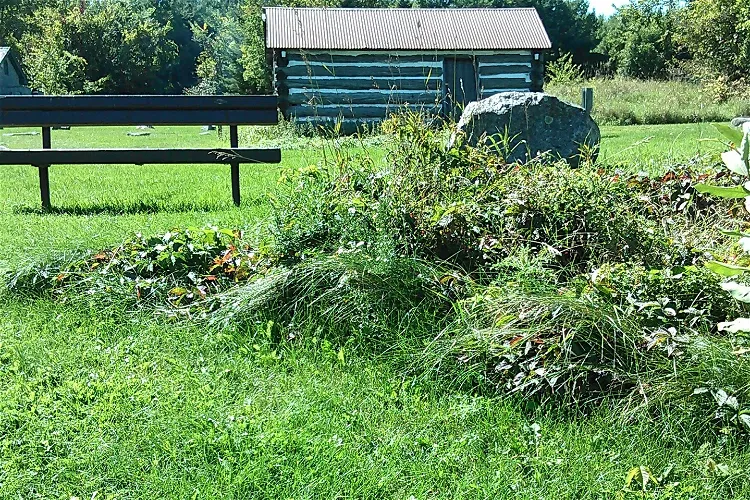Pinhey's Point Historic Site