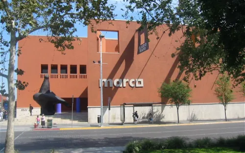 Museo de Arte Contemporáneo
