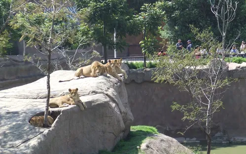 Zoo San Juan De Aragon