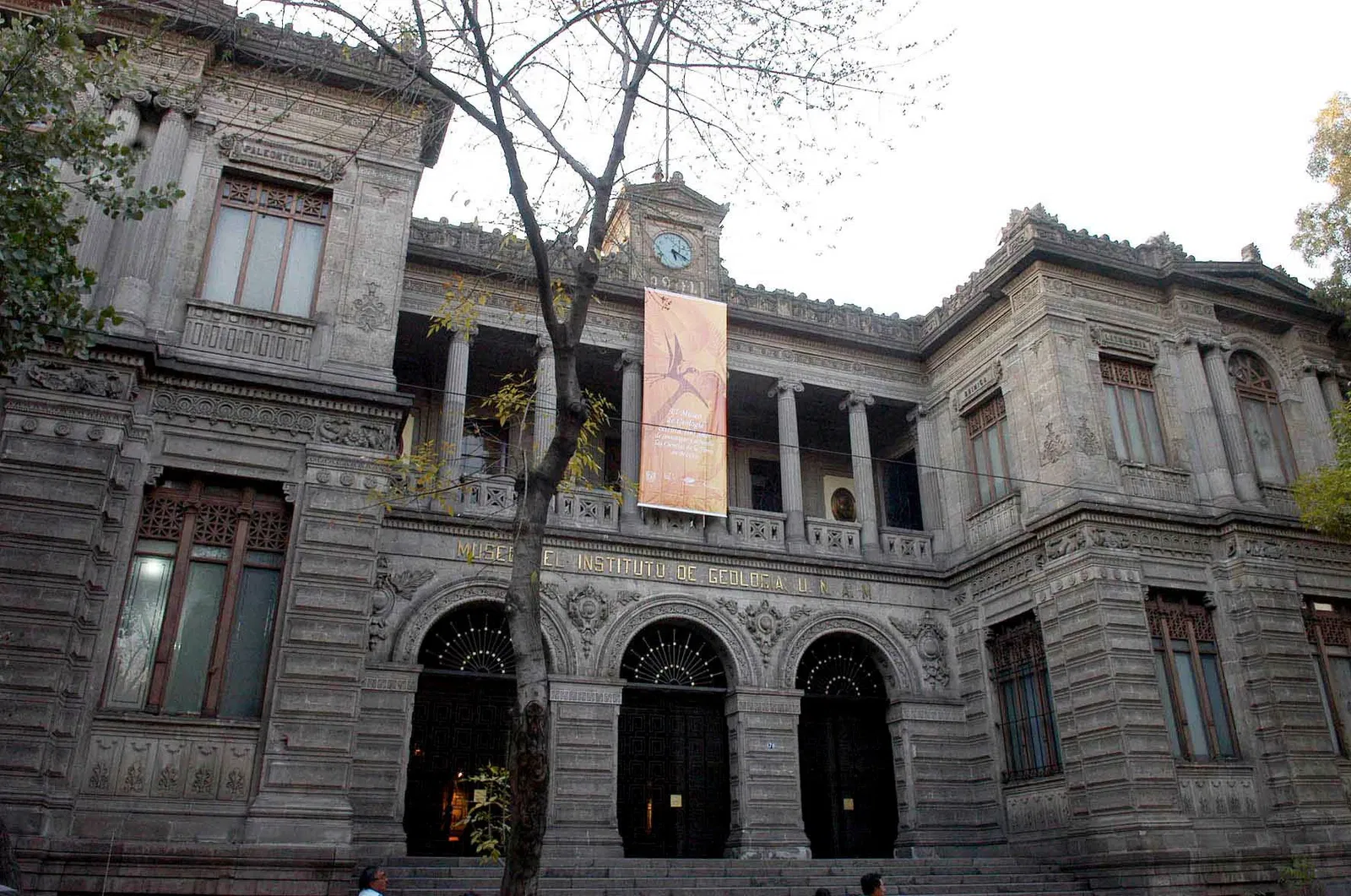 Museo de Geología