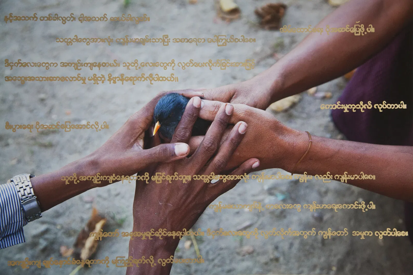 Zondvloed nu - Hedendaagse verbeelding van het zondvloedverhaal