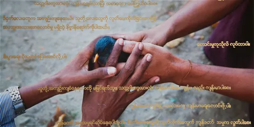 Zondvloed nu - Hedendaagse verbeelding van het zondvloedverhaal