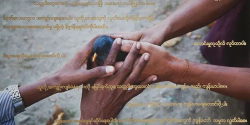 Zondvloed nu - Hedendaagse verbeelding van het zondvloedverhaal